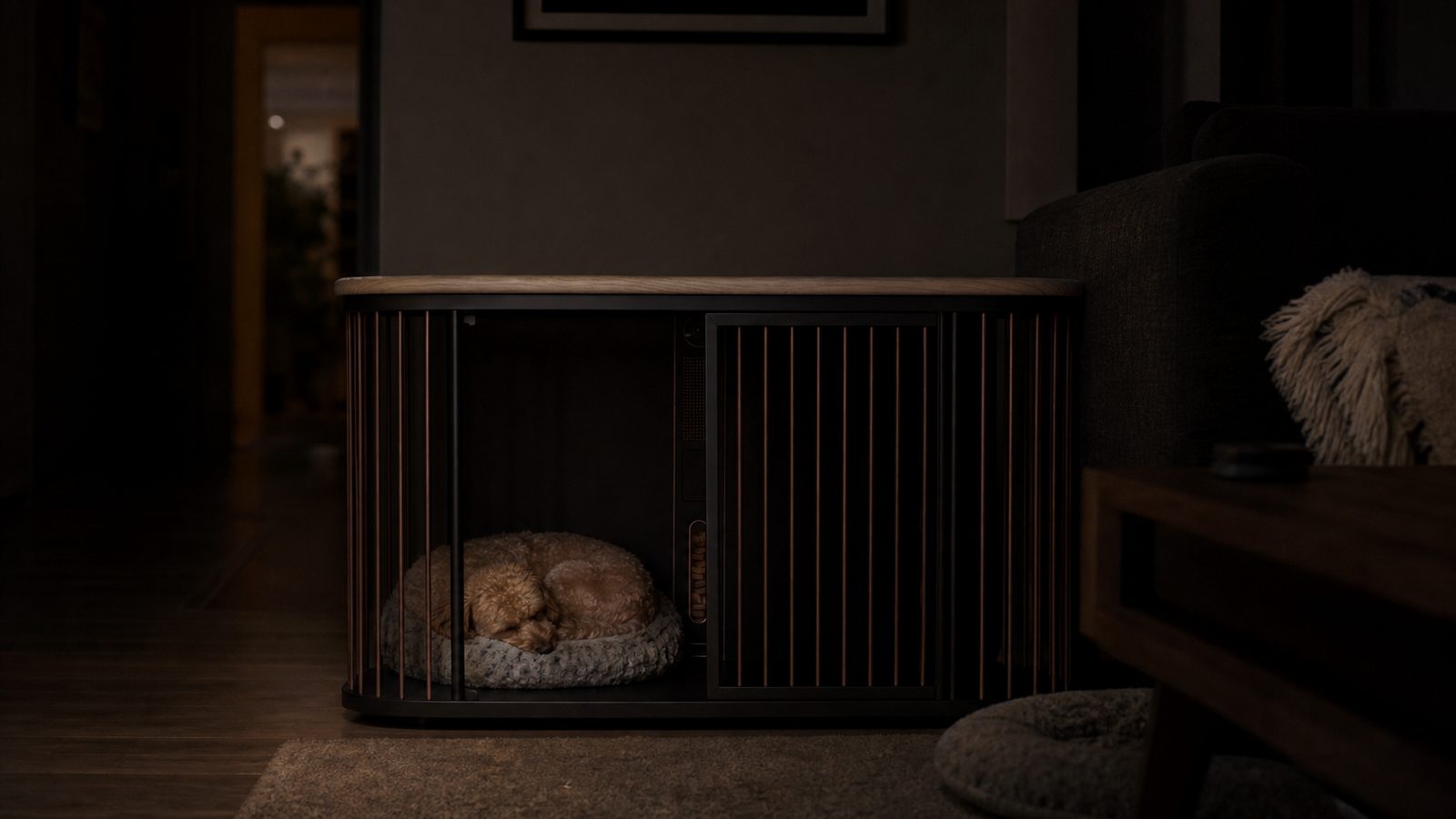 Peanut sleeps inside her Koja den in a nearly dark living room while moonlight traces the oak and bronze